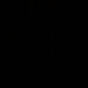 Meet your Posher, Sullivan